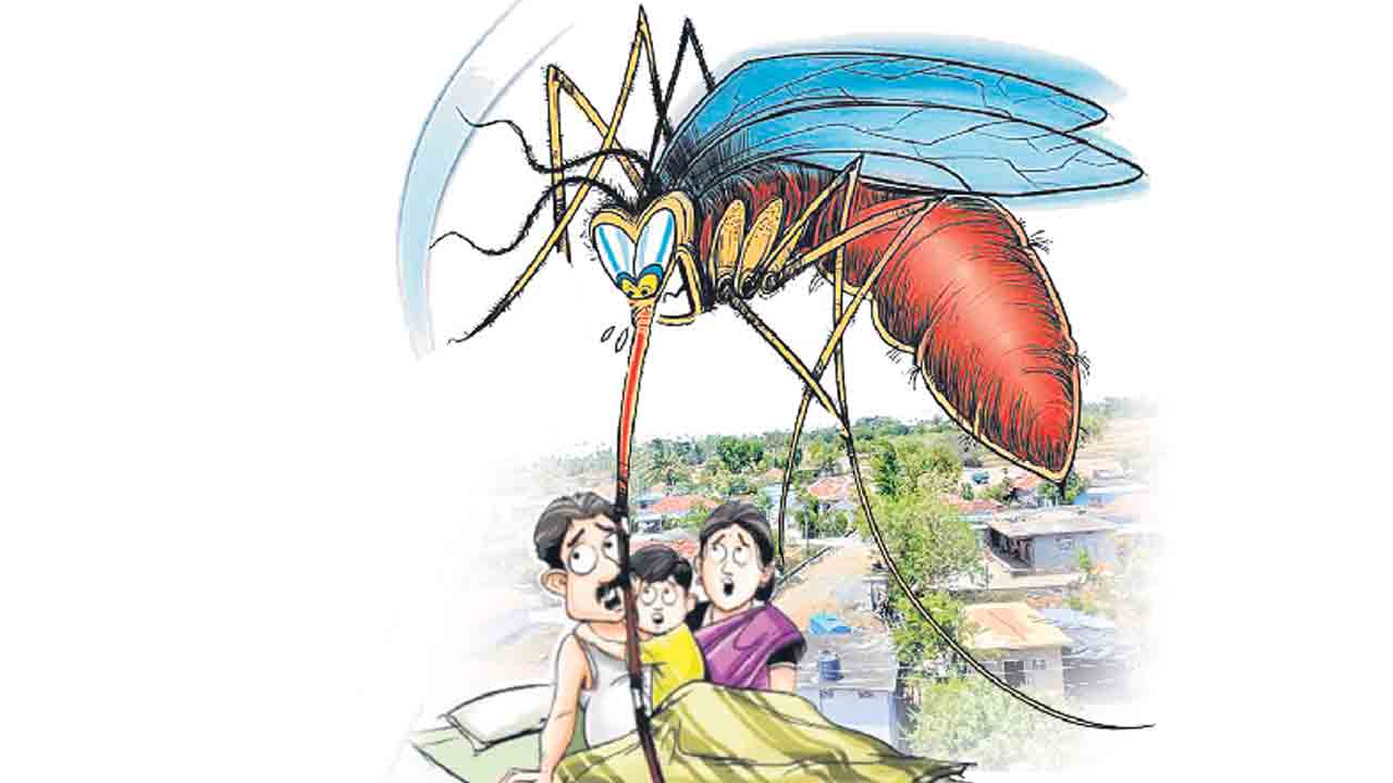 డెంగీ కోరలు