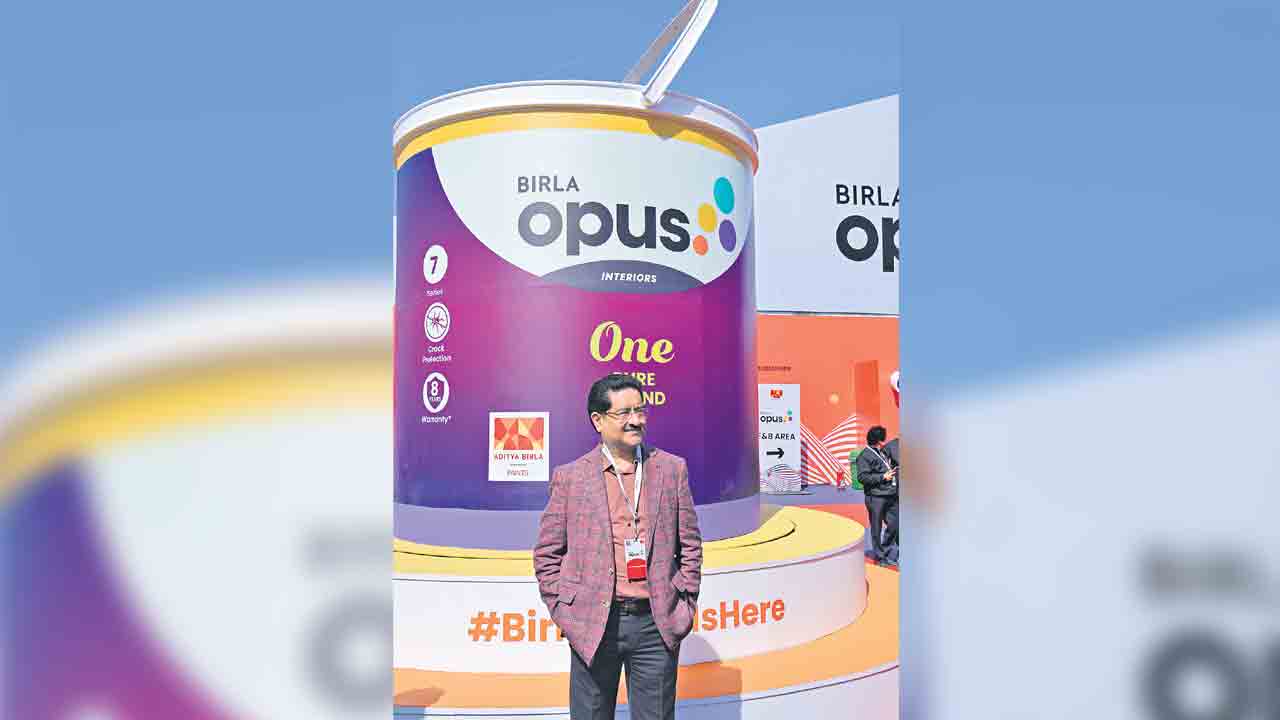 పెయింట్స్‌ రంగంలోకి బిర్లా గ్రూపు