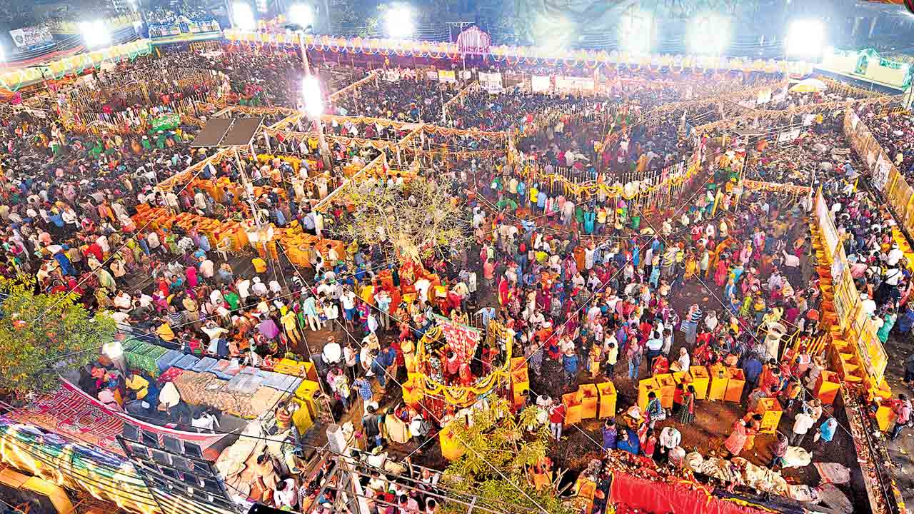 మదినిండా.. మేడారమే..