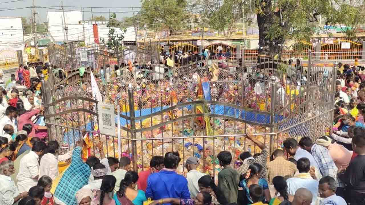 వన దేవతలకు జన నీరాజనం