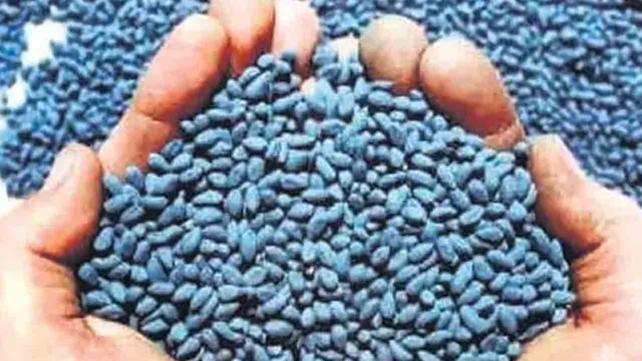 35 లక్షల విలువైన నకిలీ పత్తి విత్తనాల సీజ్‌