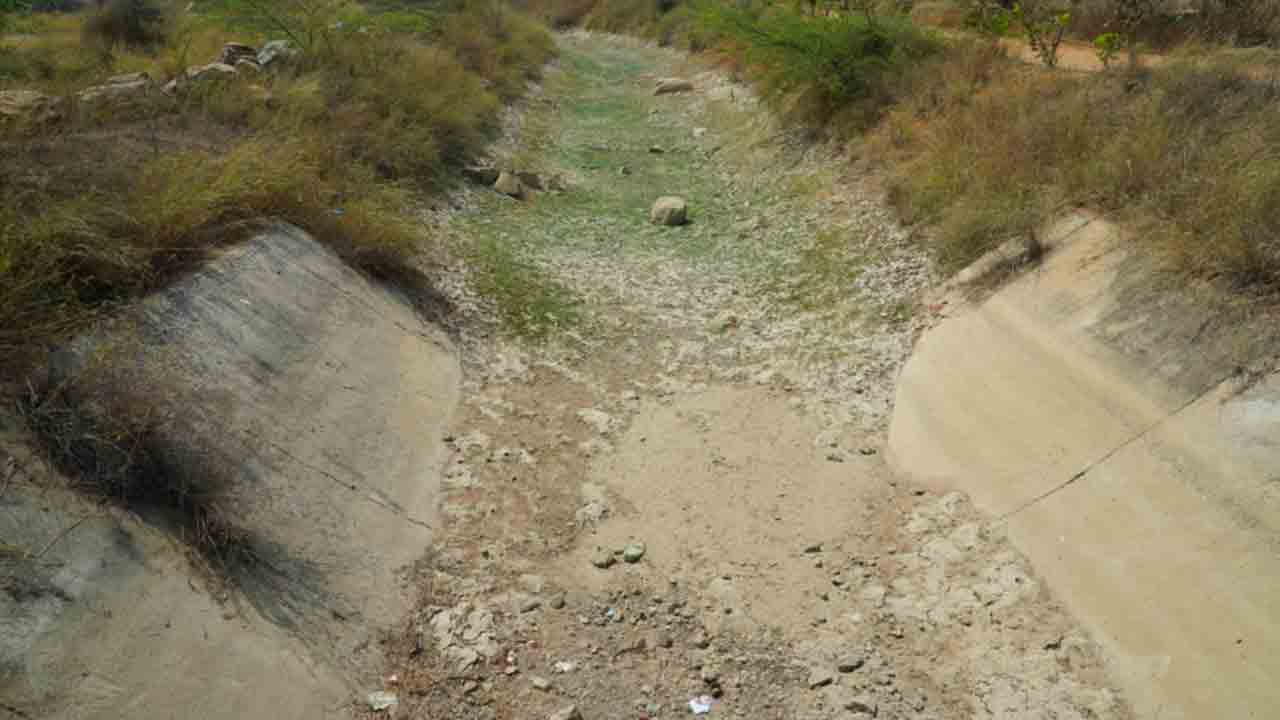 సగానికి సాగు..