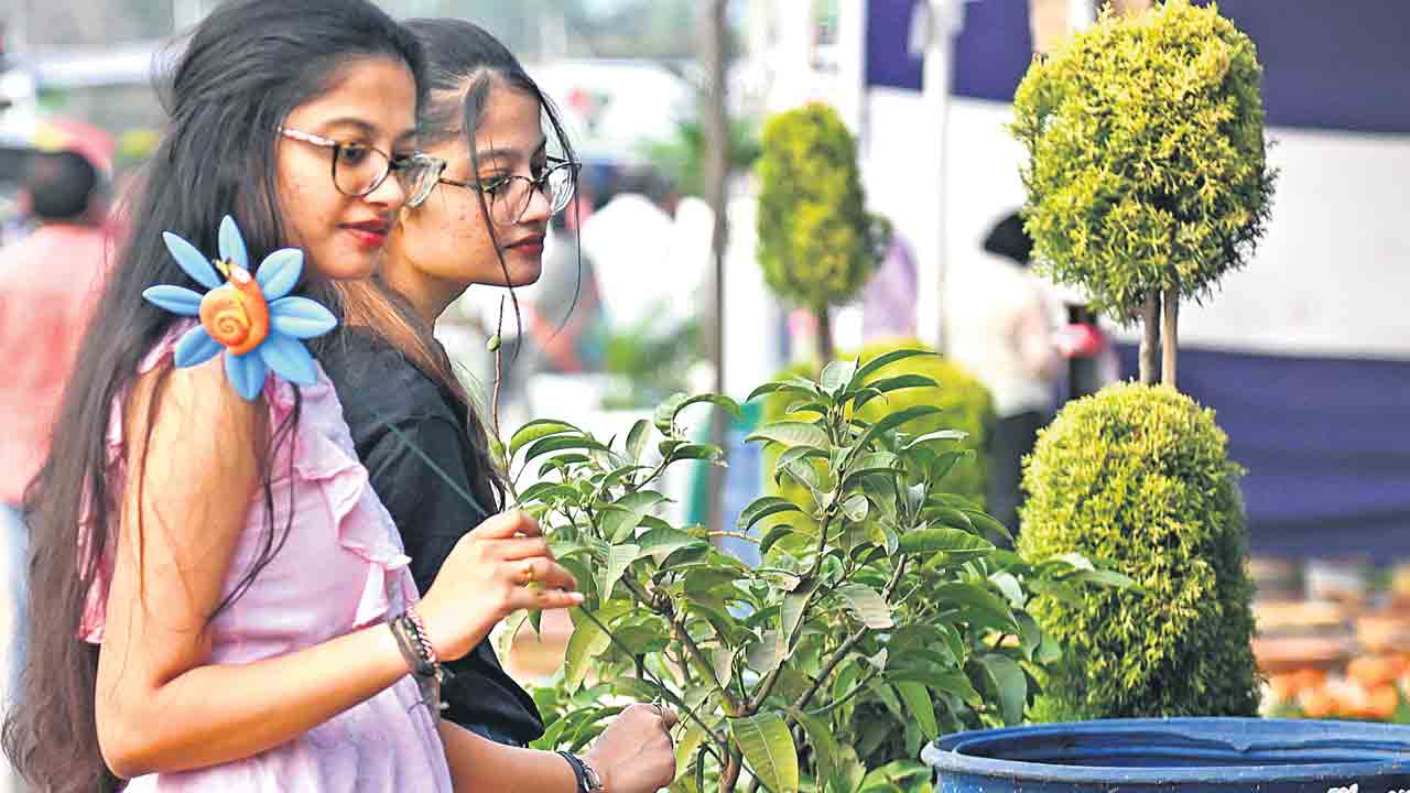 Nursery Mela | తీరొక్క మొక్కలు చూపు తిప్పుకోనివ్వవు..