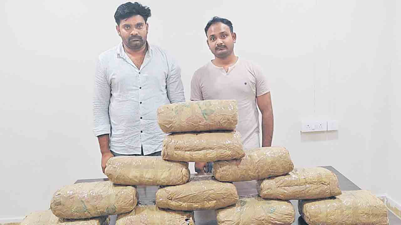 ఉద్యోగాలకు సెలవు పెట్టి కానిస్టేబుళ్ల గంజాయి దందా