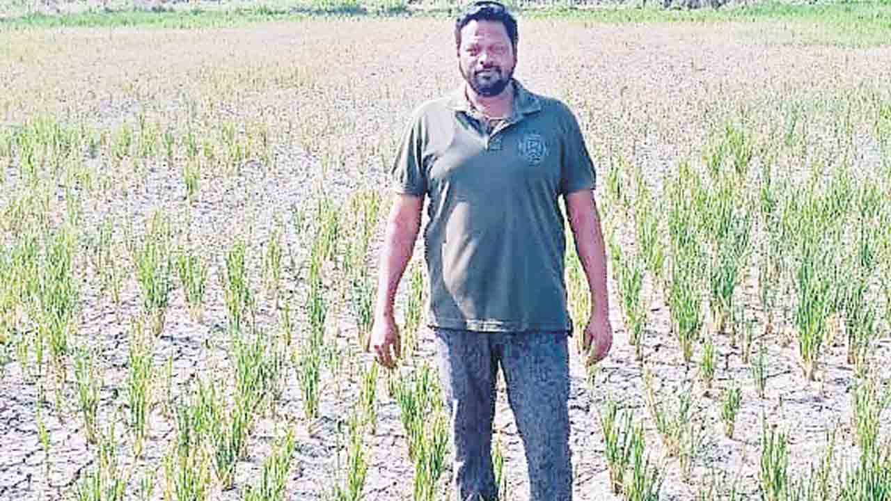 యాసంగి యాడికొస్తదో..