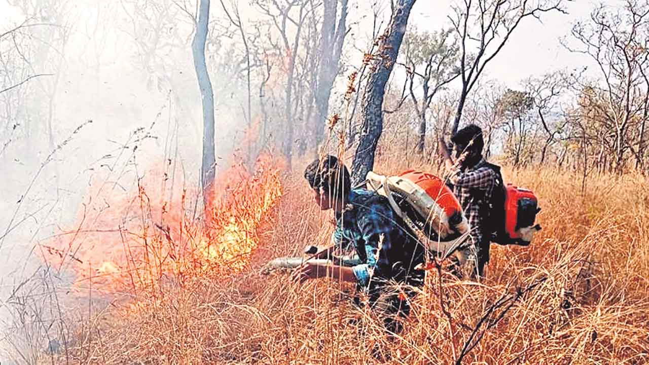 టైగర్‌ రిజర్వు ఫారెస్ట్‌లో కార్చిచ్చు