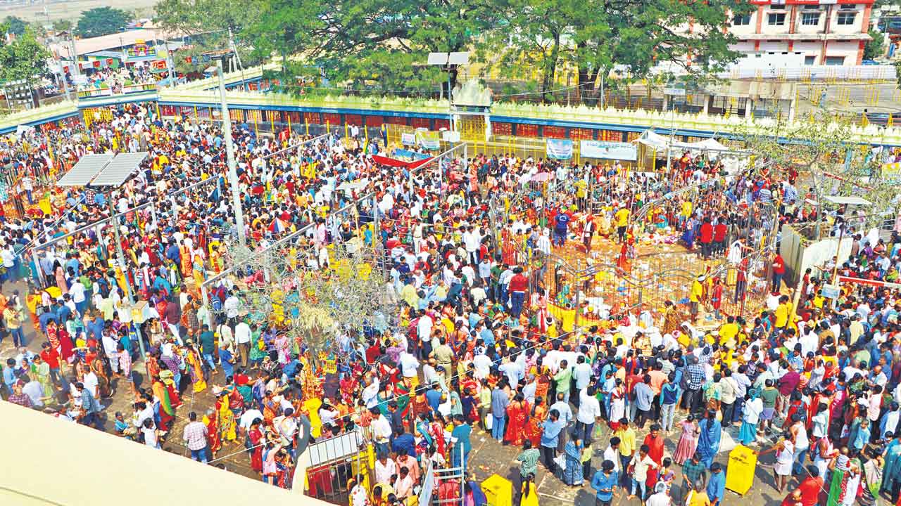 Medaram Jatara | మేడారం జాతరకు భారీ ఏర్పాట్లు