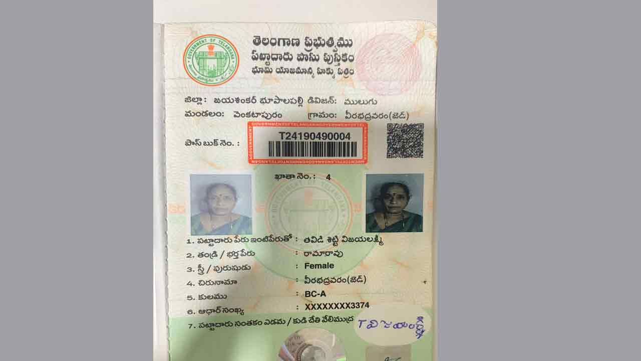 రెవెన్యూ మాయాజాలం