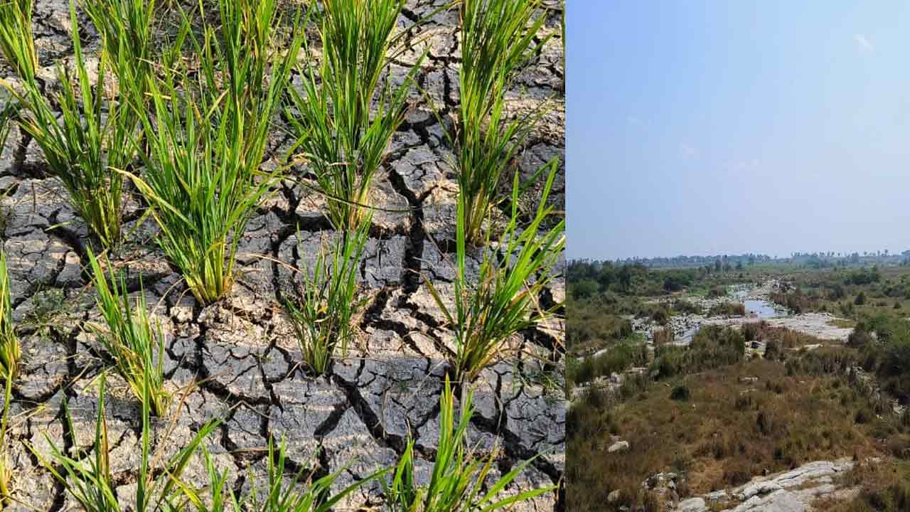 వట్టిపోయిన హాలియా వాగు