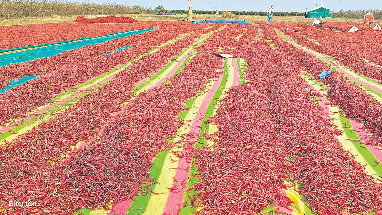 మిర్చి ధర ధమాల్