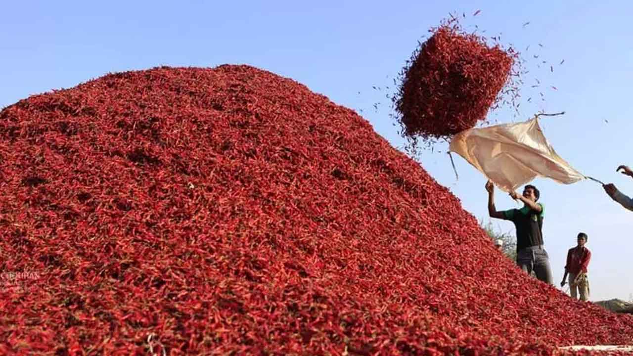 Mirchi Price | వరంగల్‌లో మిర్చి రికార్డు.. క్వింటాల్‌కు రూ.42వేలు