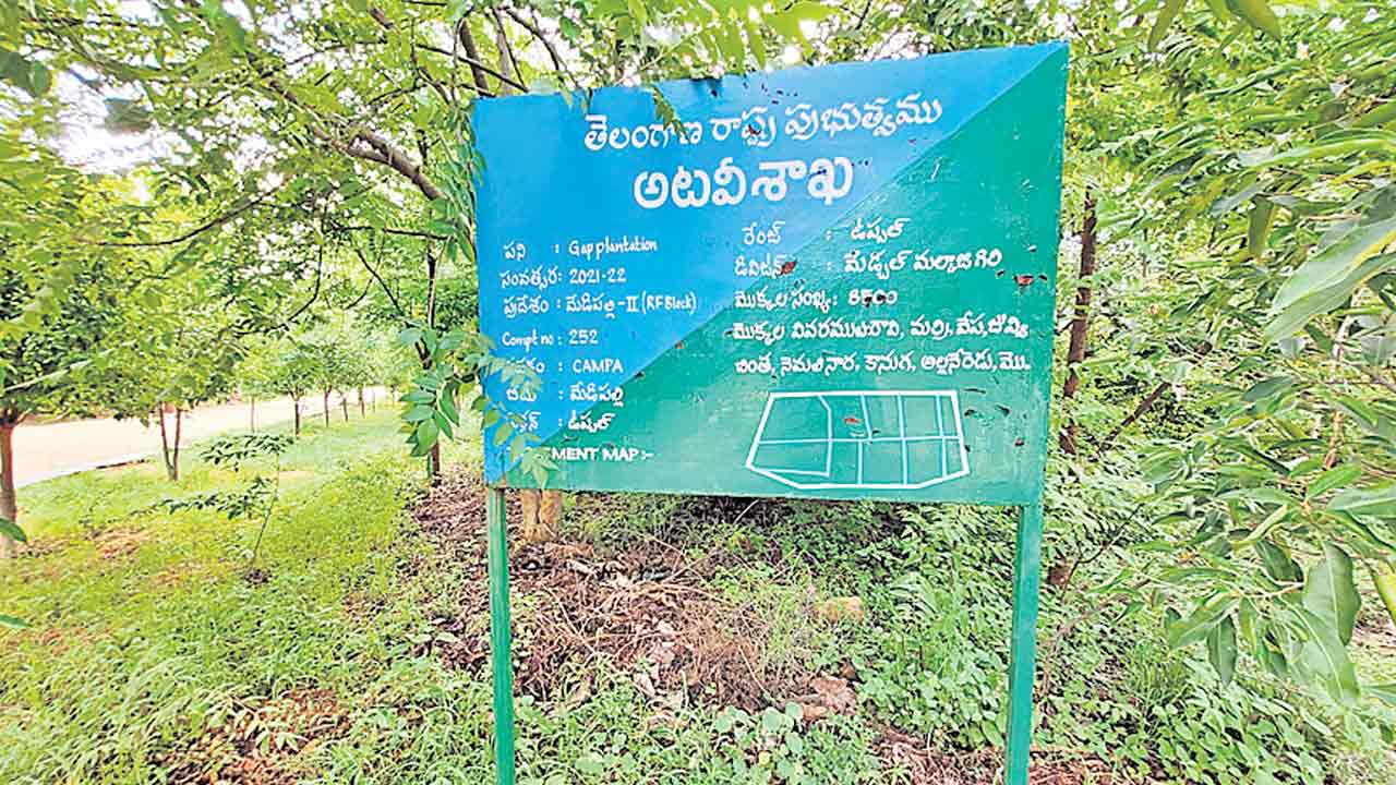 Forest Lands | అటవీ భూములు ఆక్రమించకుండా.. గొలుసు లింక్‌ ఫెన్సింగ్‌