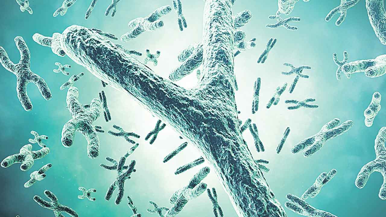 మగాళ్ల’ మనుగడకు ముప్పు?!