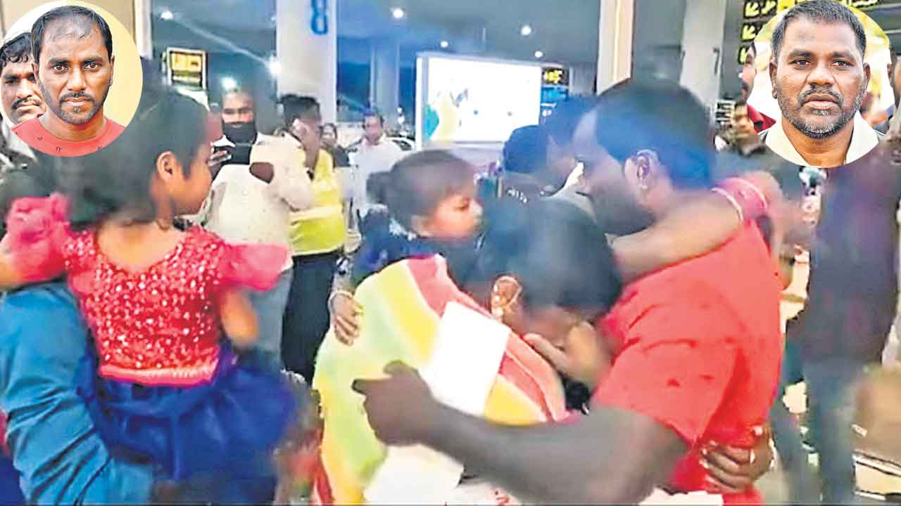 ఎడారి చెరకు తెర