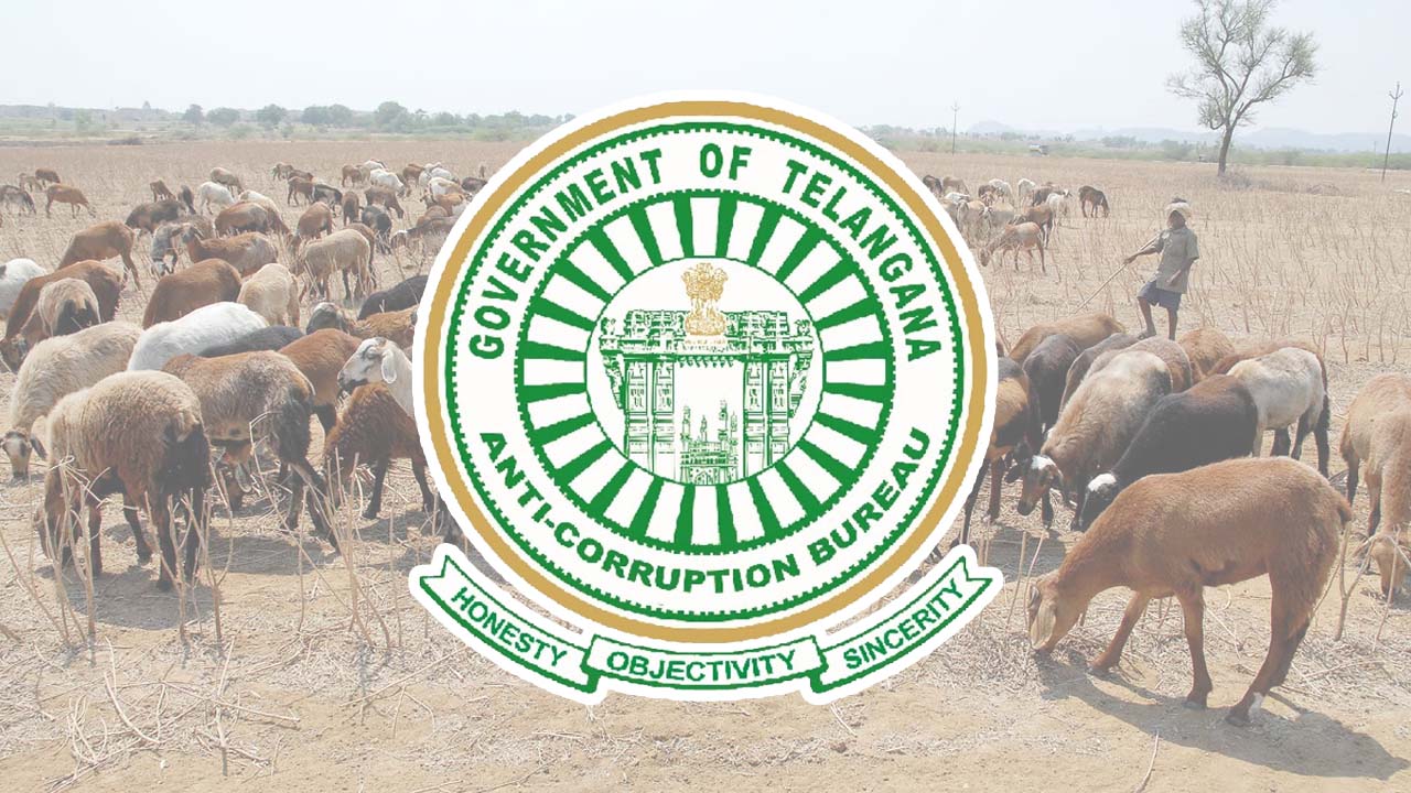 ACB | గొర్రెల యూనిట్ల పంపిణీలో అక్రమాలు.. నలుగురు అధికారులను అరెస్టు చేసిన ఏసీబీ