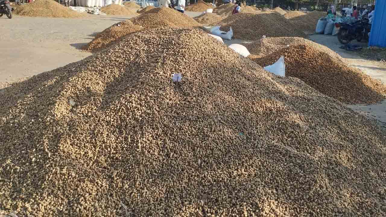 వేరుశనగ @ రూ.7,189