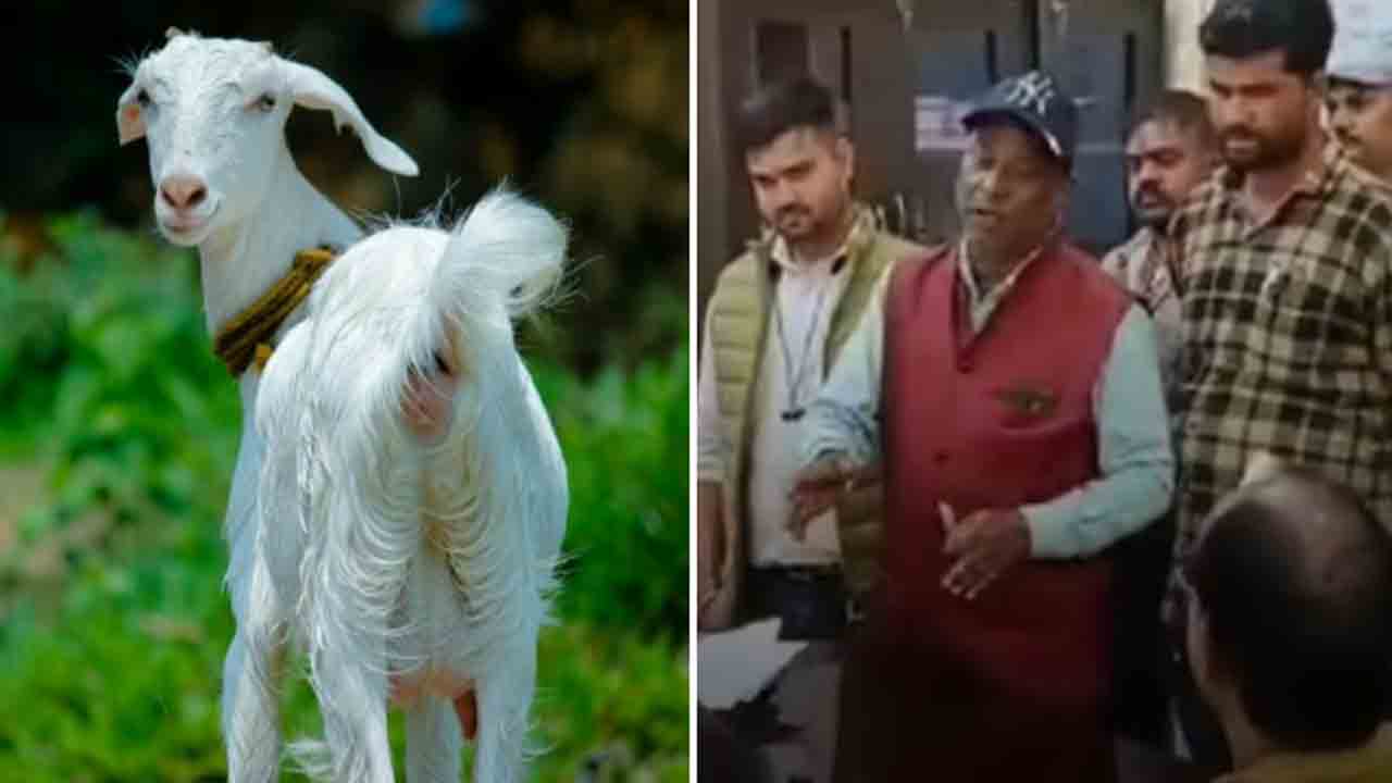 BJP Leader’s Goat Stolen | ఖరీదైన కారులో వచ్చి.. బీజేపీ నేత మేక చోరీ