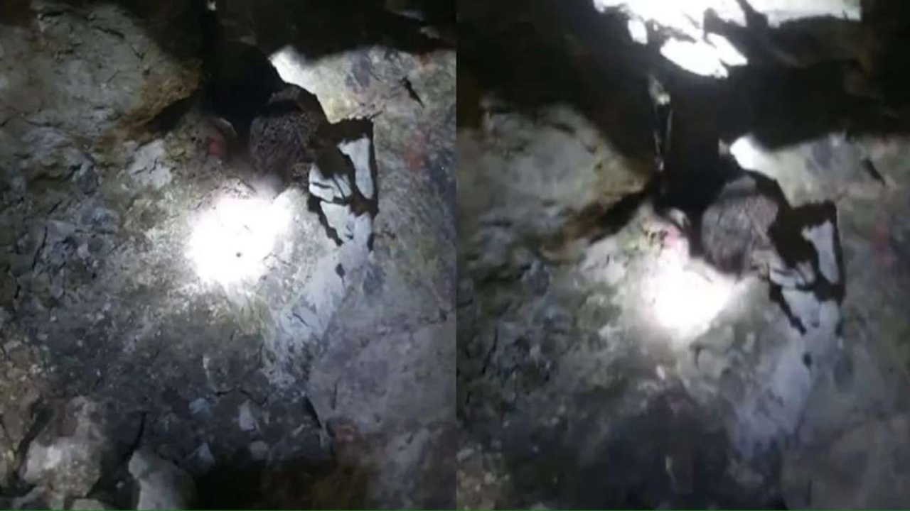 Jamnagar | బావిలో పడిపోయిన రెండేళ్ల బాలుడు..! తొమ్మిది గంటలు శ్రమించి రక్షించిన ఎన్డీఆర్‌ఎఫ్‌