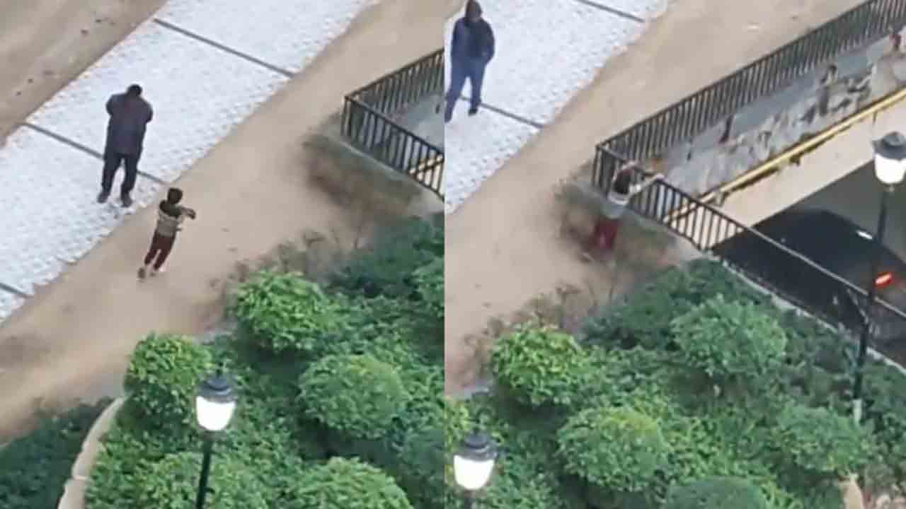 watch: కుక్క పిల్లను ఎత్తైన భవనం నుంచి పడేసిన బాలుడు.. తర్వాత ఏం జరిగిందంటే?