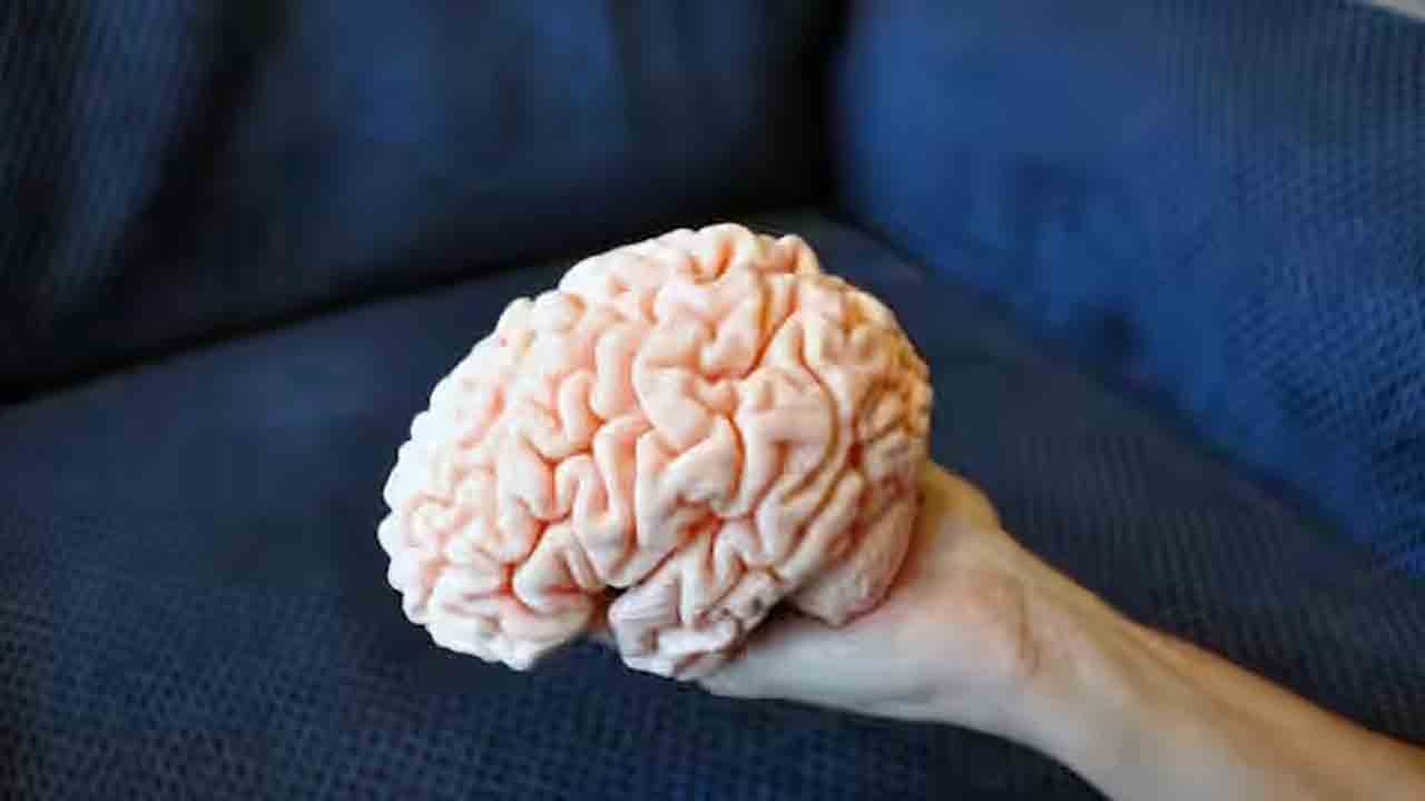 తొలి త్రీడీ ప్రింటెడ్‌ మెదడు కణజాలం