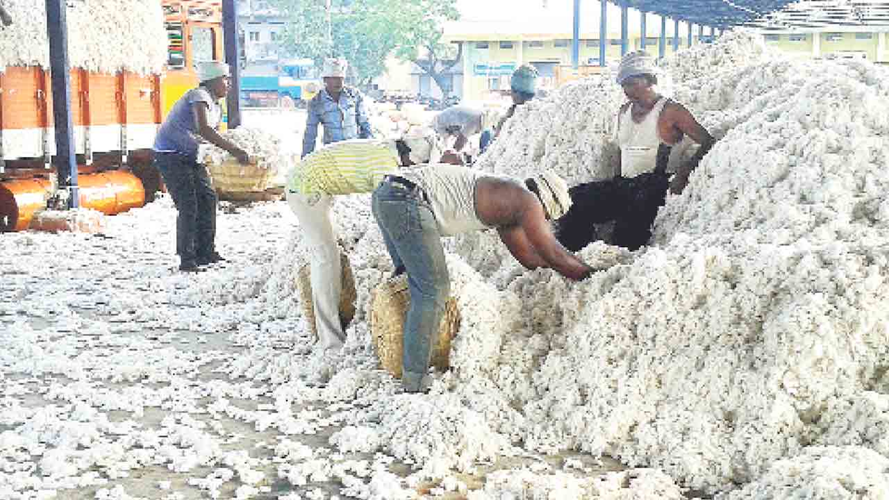 8 కేంద్రాలు.. 4.14 లక్షల క్వింటాళ్లు