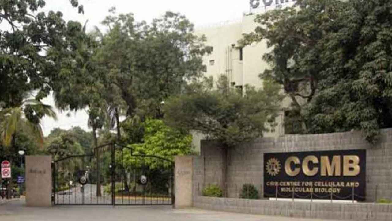 రొమ్ము క్యాన్సర్‌ నిర్ధారణకు ప్రత్యేక విధానం