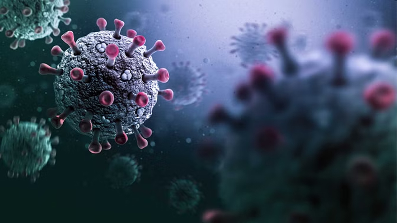 Covid-19 | భారత్‌లో కొత్తగా 114 కొవిడ్‌ కేసులు