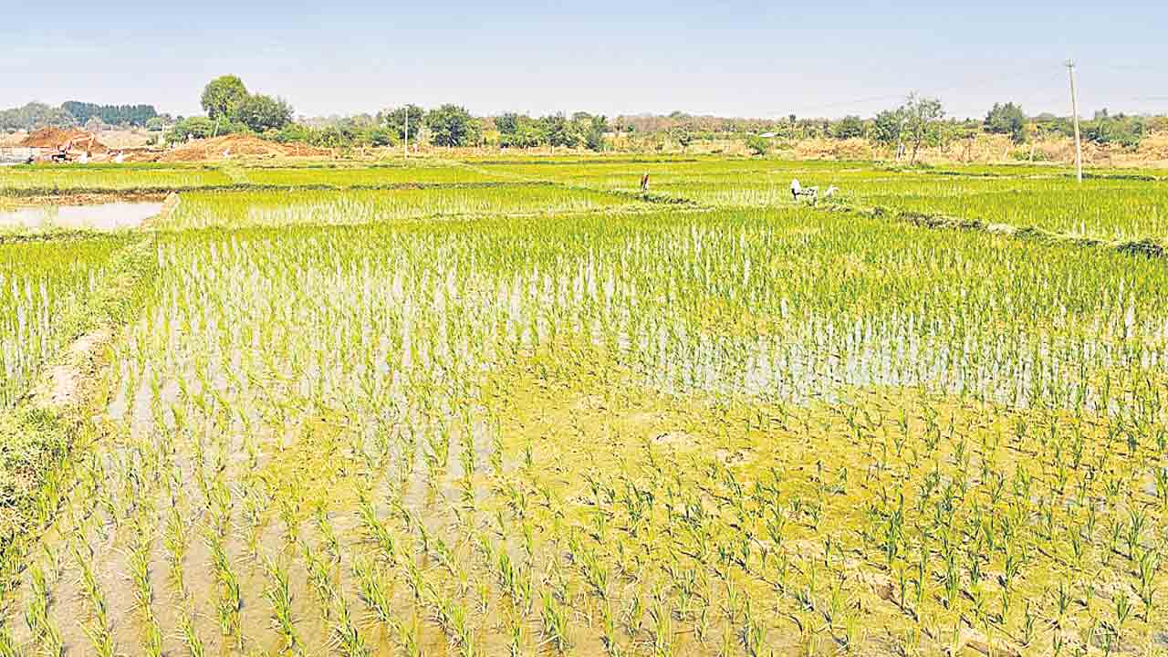 ఆలస్యంతో ఆగమాగం