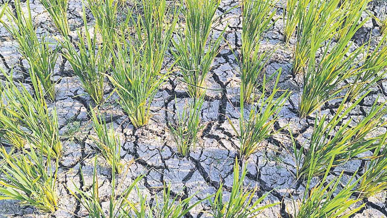 కాల్వ కింద కన్నీటి వెతలు