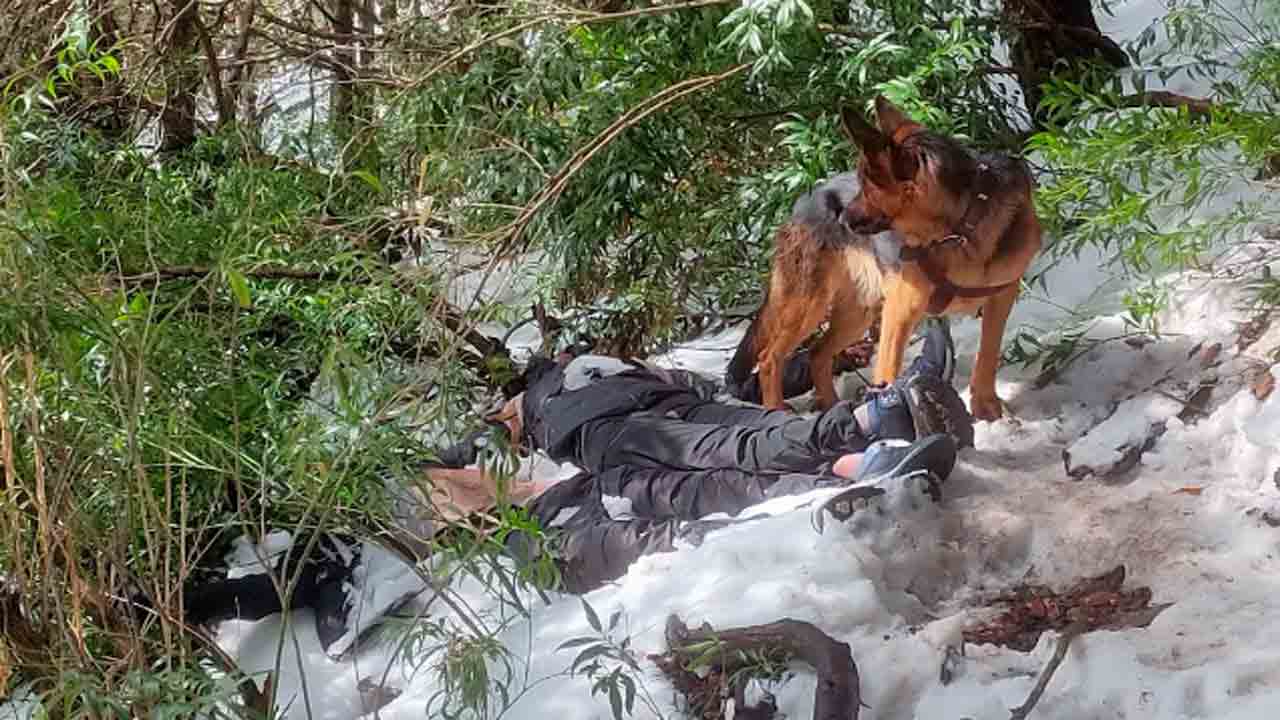 Pet Dog Guards Trekkers Bodies | మంచు పర్వతాల్లో జారి పడి ఇద్దరు మృతి.. మృతదేహాల వద్ద రెండు   రోజులు కాపలా ఉన్న పెంపుడు కుక్క