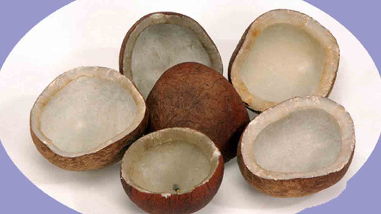 Dry Coconu T