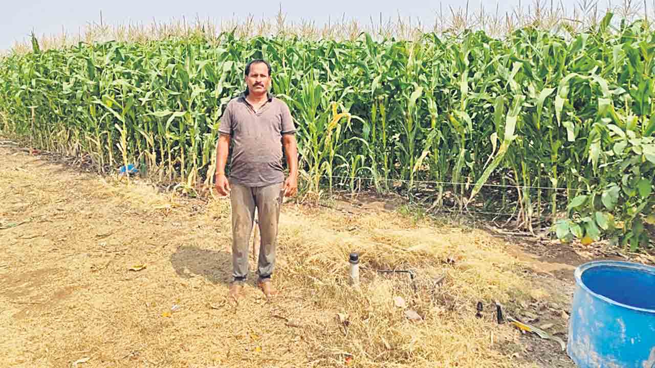 రైతుబంధు రాకపాయే..