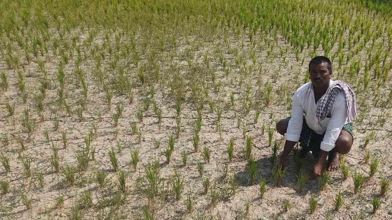 నీటి తడుల్లేక కంటతడి