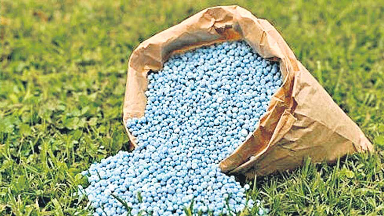 Budget | రైతుల‌కు పెద్ద దెబ్బ‌.. ఎరువుల సబ్సిడీ కేటాయింపుల్లో భారీగా కోతలు..!