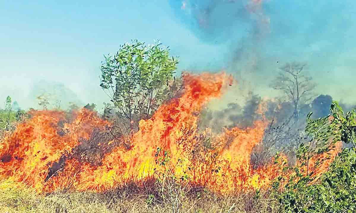 కార్చిచ్చును ఆర్పేద్దాం..