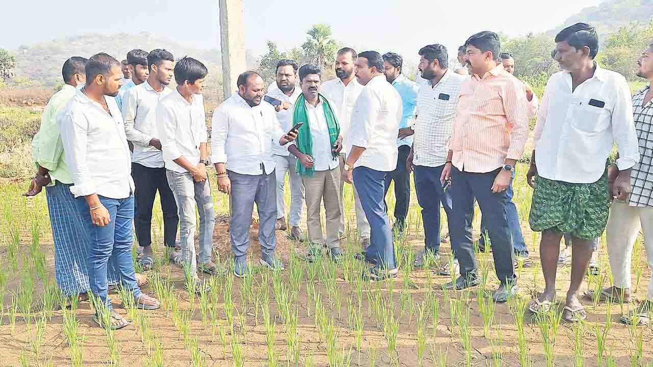 ‘అన్నపూర్ణ’ను ఎడారిగా మార్చొద్దు