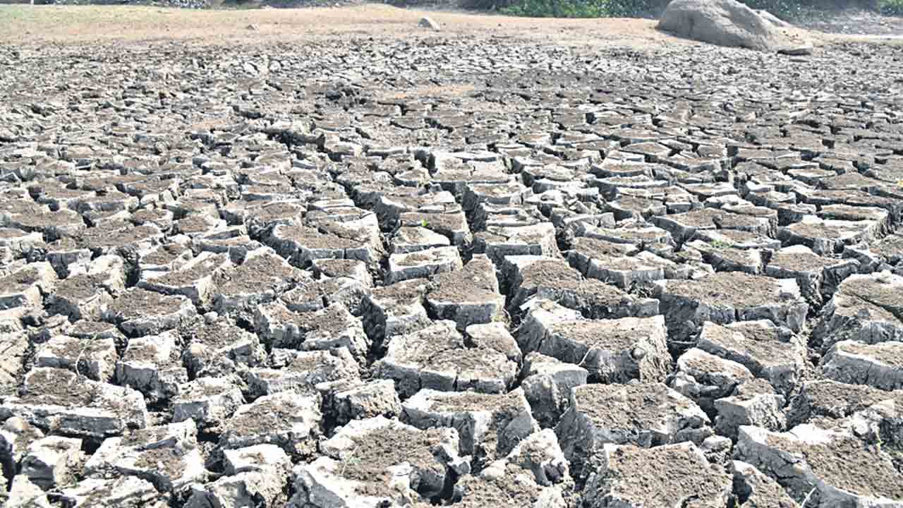 నాడు జలకళ.. నేడు వెలవెల