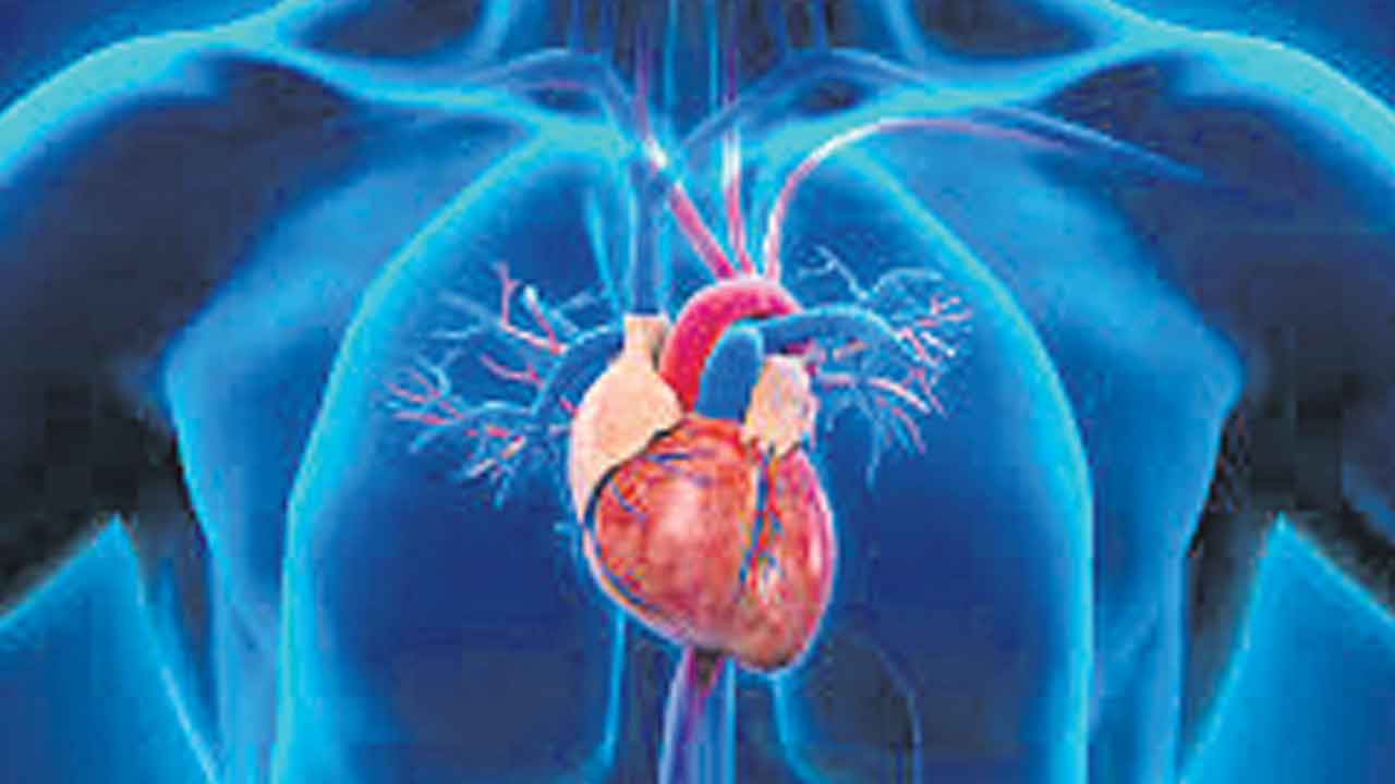 Heart attacks | యుక్త వయసుకు గుండె గండం.. మూడు పదులకే మూగబోతున్న హృదయం..!