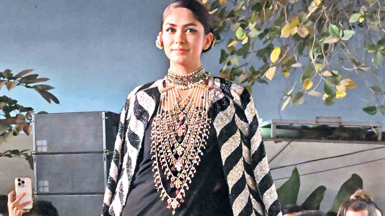 మృణాల్‌.. మనసు దోచెన్‌