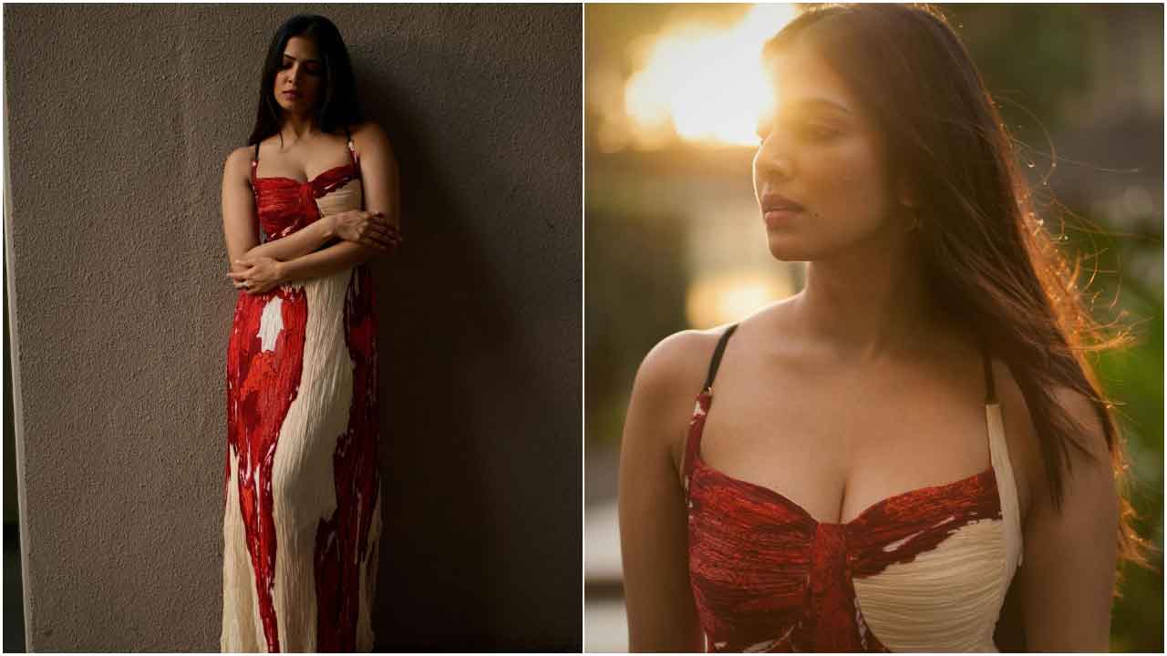 Malavika Mohanan : మాళవిక మోహనన్ అందాల మెరుపులు