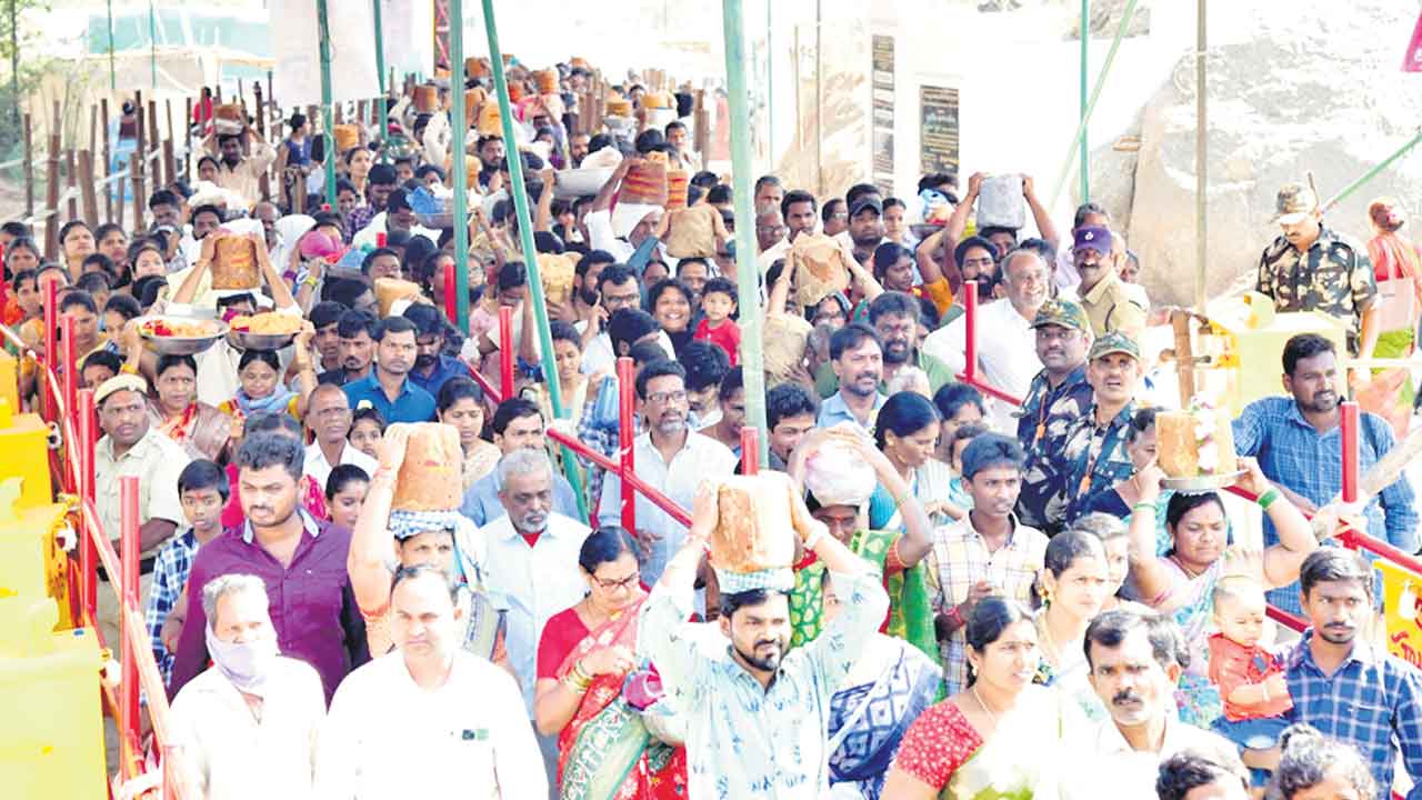 కొలువుదీరిన వనదేవతలు