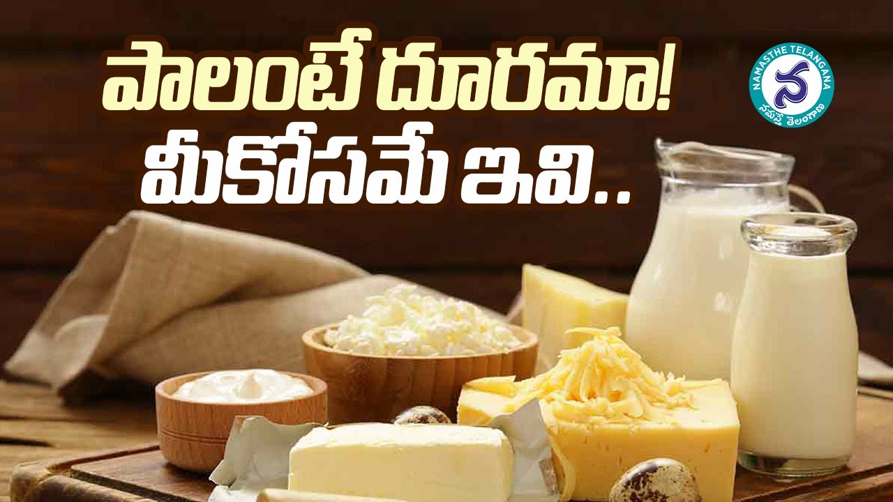 పాలంటే పడనివారు ఏం చేయాలి..