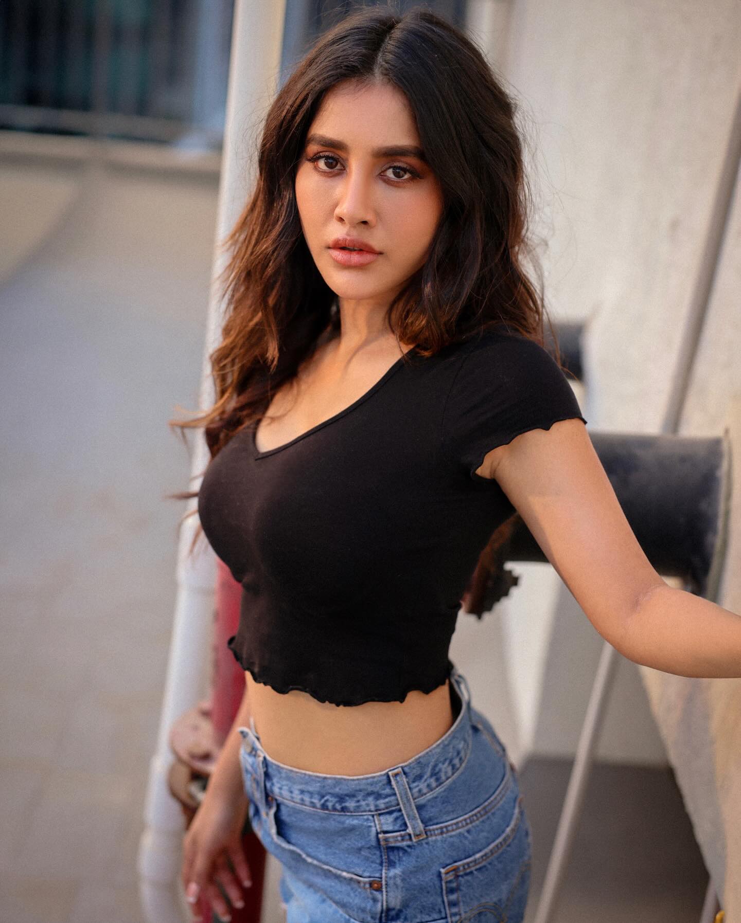 Nabha Natesh (17)