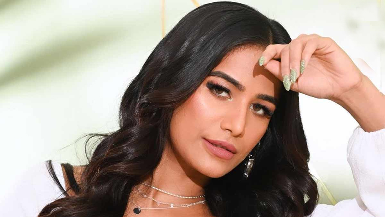 Poonam Pandey | పూనమ్‌ పాండేకు కేన్సర్‌ కాదు.. ఆ వ్యాధి ఉందట !