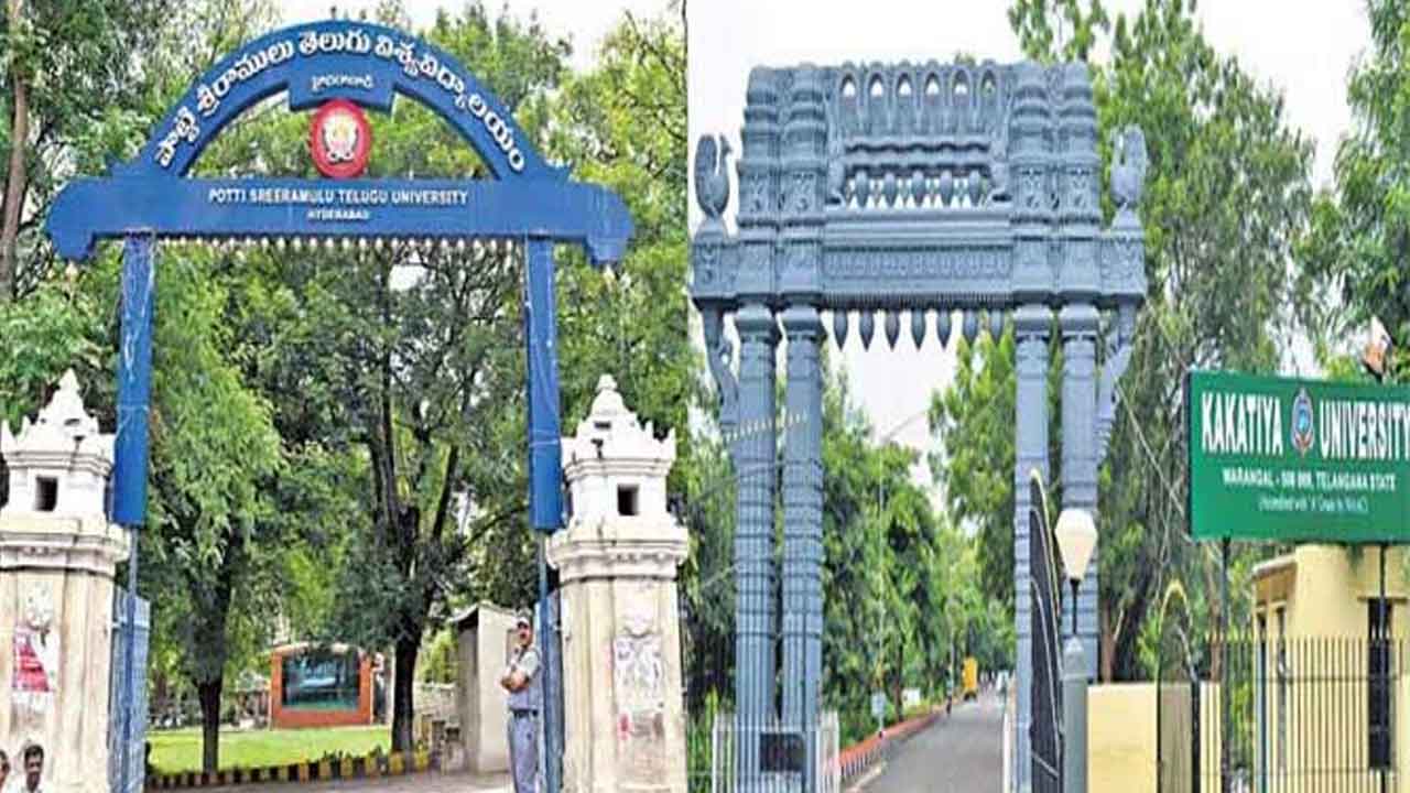 అటు వీసీకి పోటీ.. ఇటు ఈసీ నామినీ