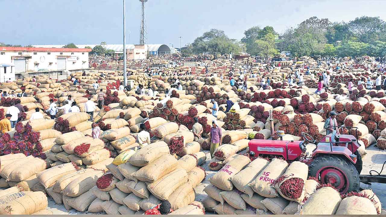 ఖమ్మంలో ఎర్రబంగారం ధర 20,850