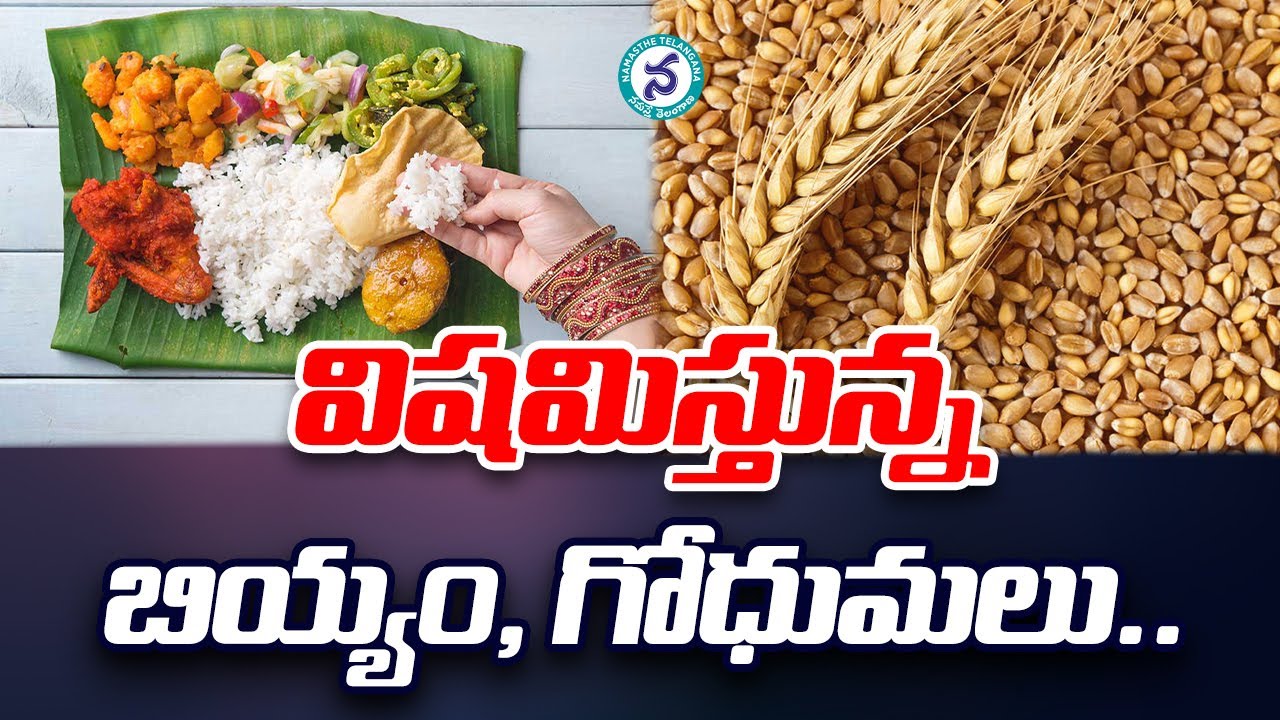 విషపూరితమవుతున్న బియ్యం, గోధుమలు