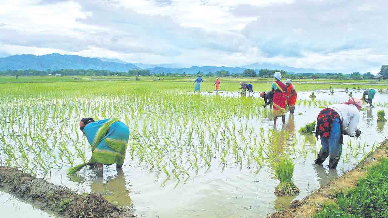 బంధు వొచ్చేనా !