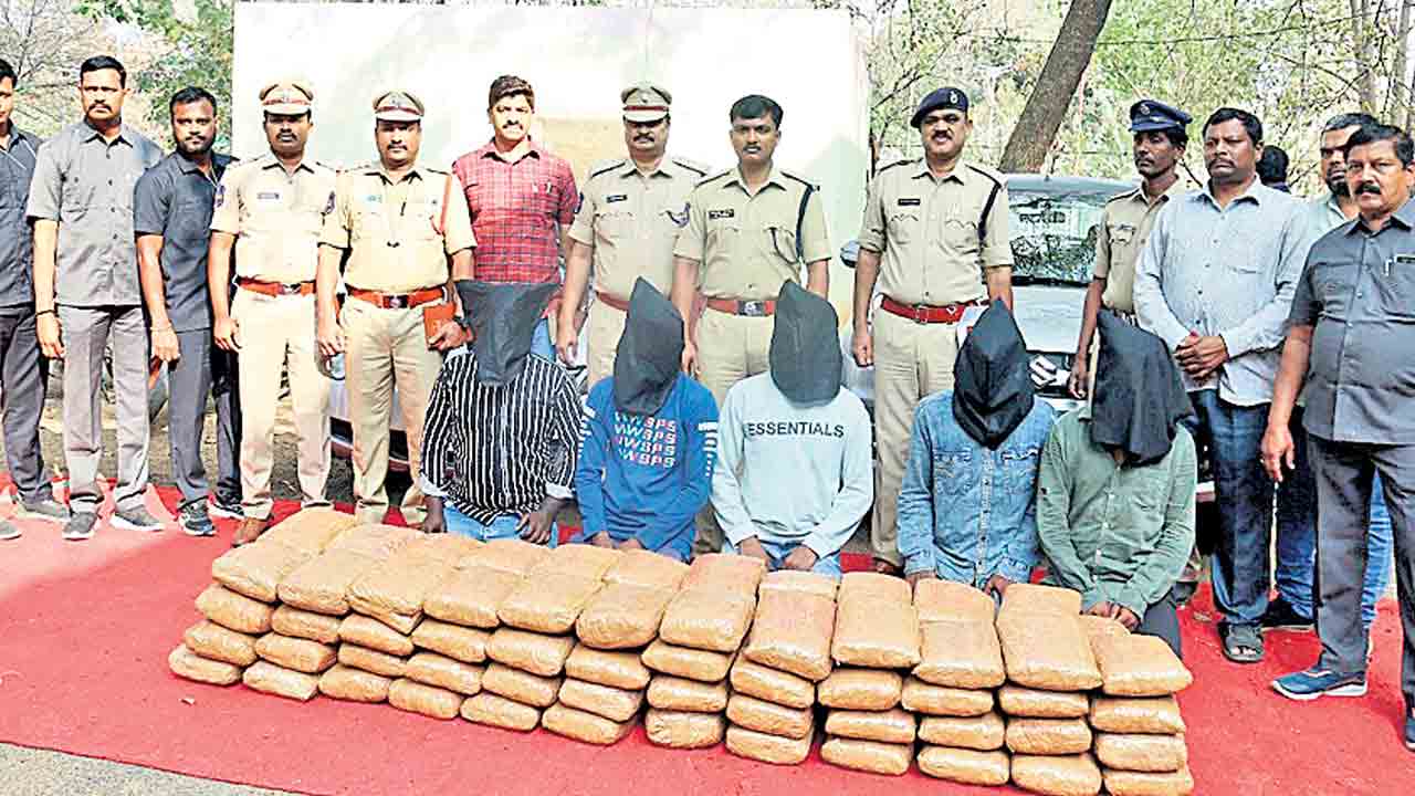 190 కిలోల గంజాయి స్వాధీనం