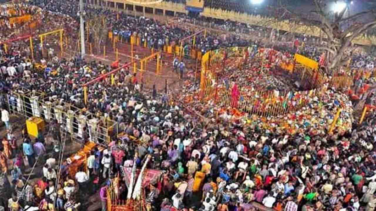 Minister Sitakka |  సమ్మక్క-సారలమ్మ చరిత్ర ప్రపంచానికి తెలిసేలా శిలాశాసనాలు : మంత్రి సీతక్క